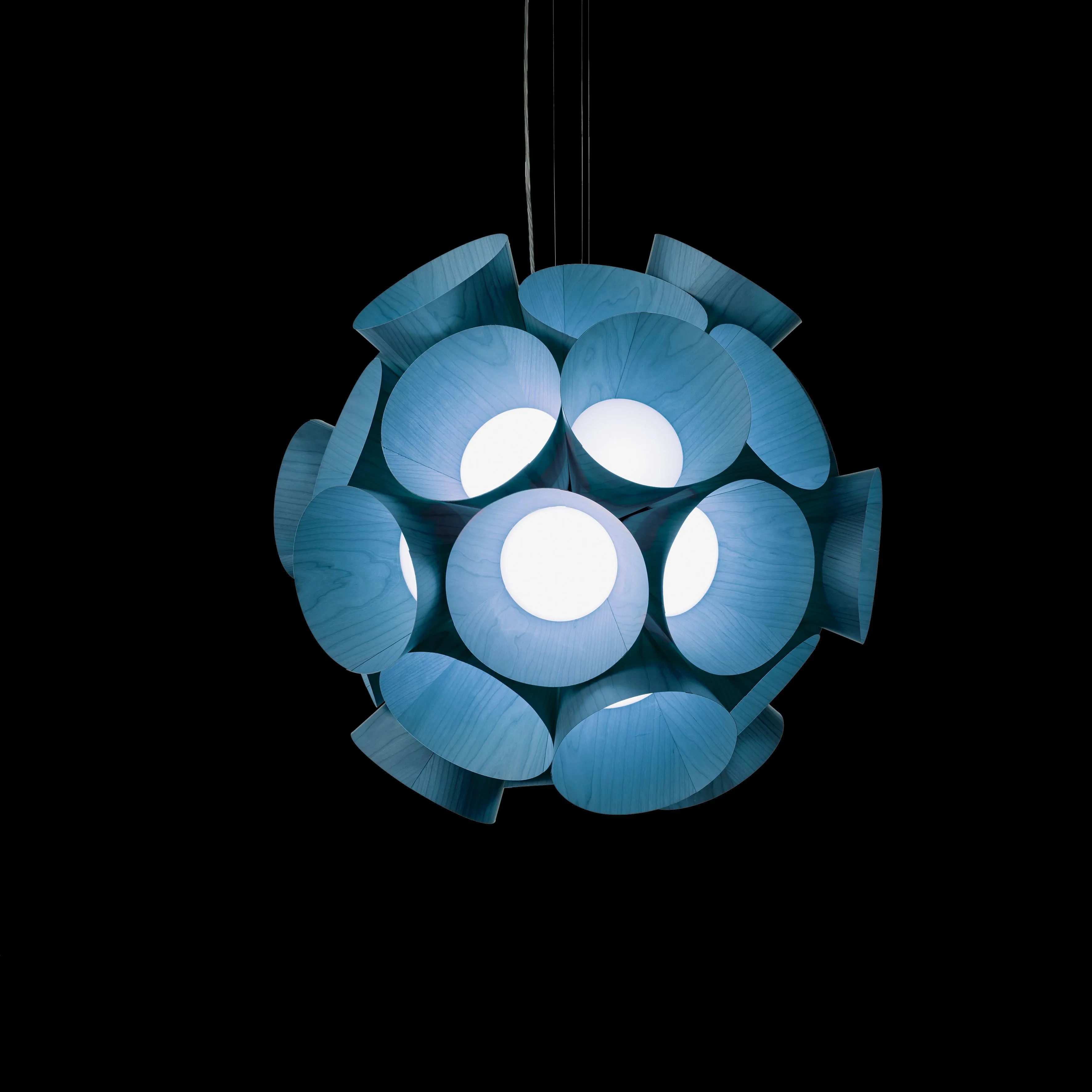 LZF Dandelion Pendel   