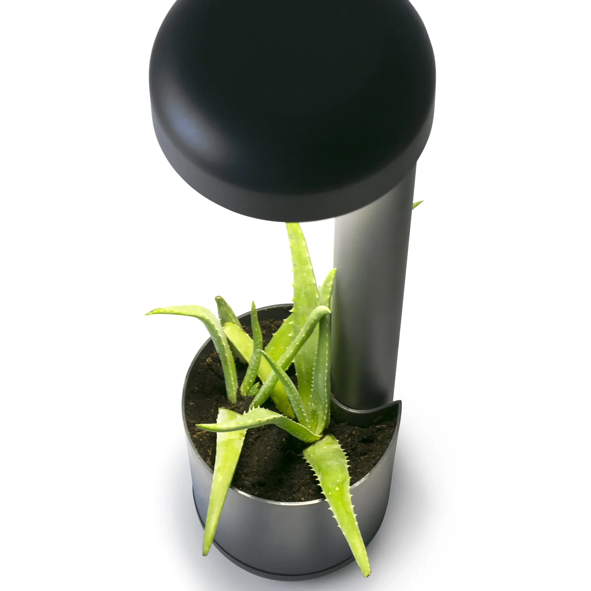 Faro Grow Udendørslampe