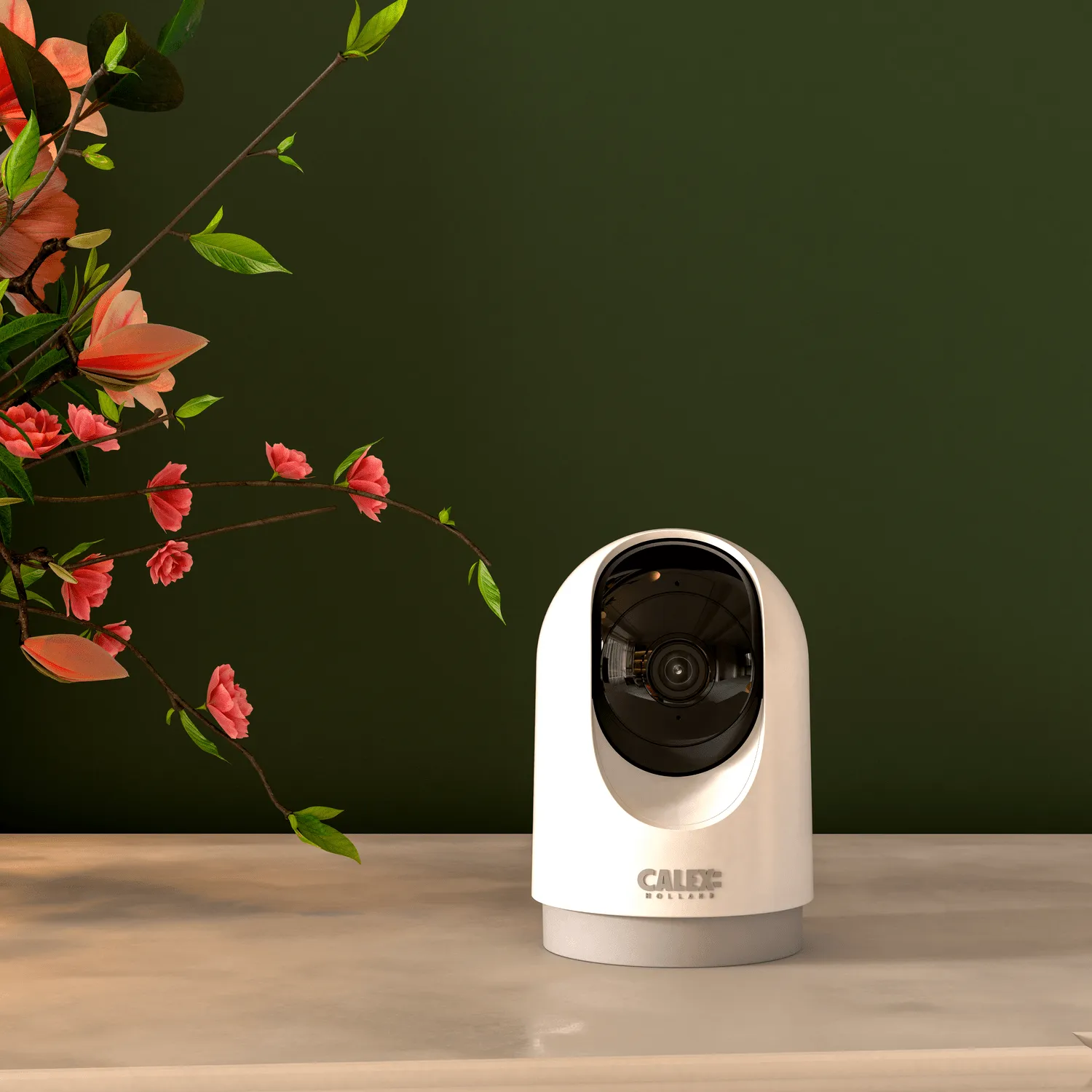 Calex PTZ Indendørs Kamera