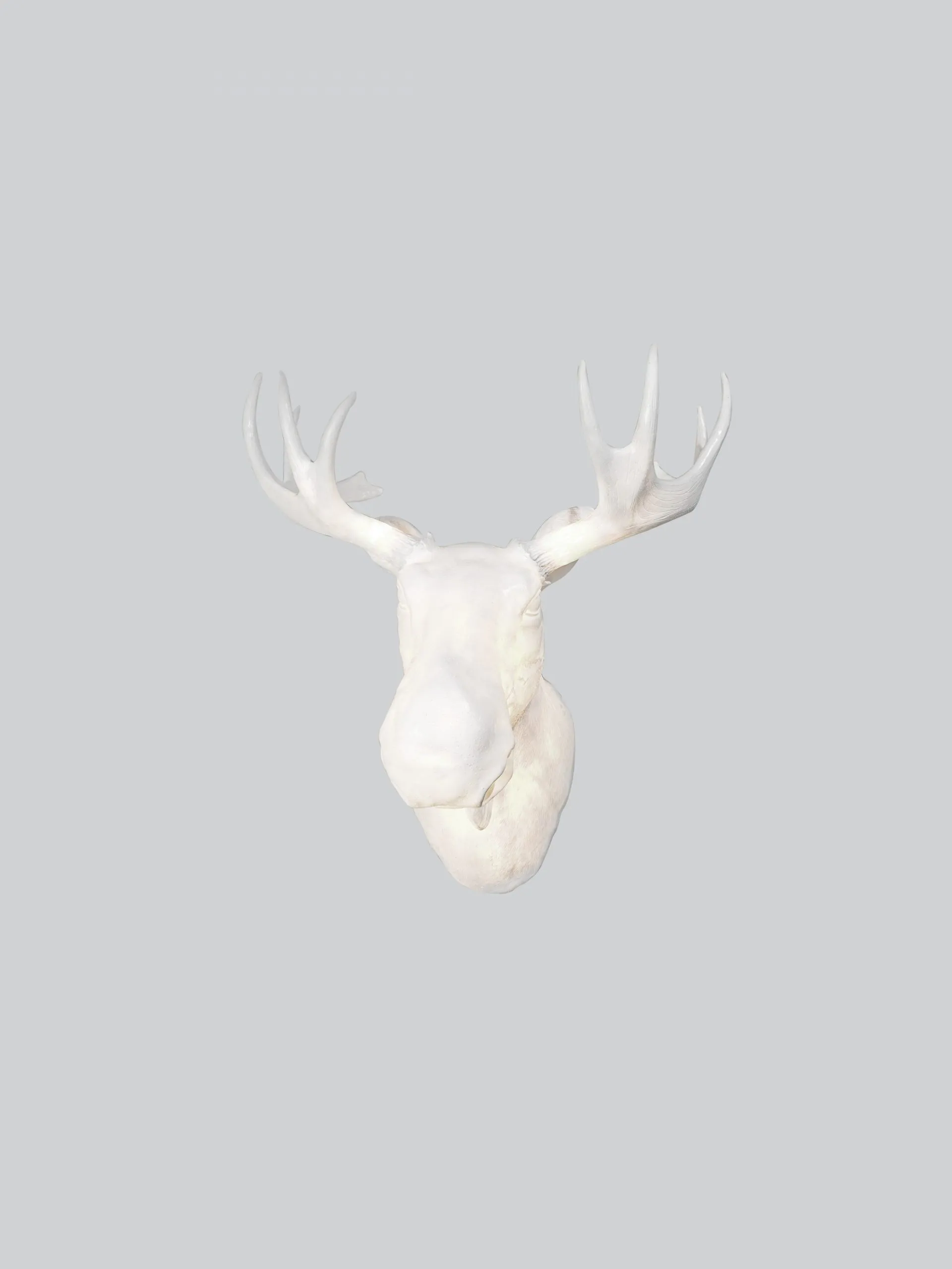 Northern Moo Væglampe