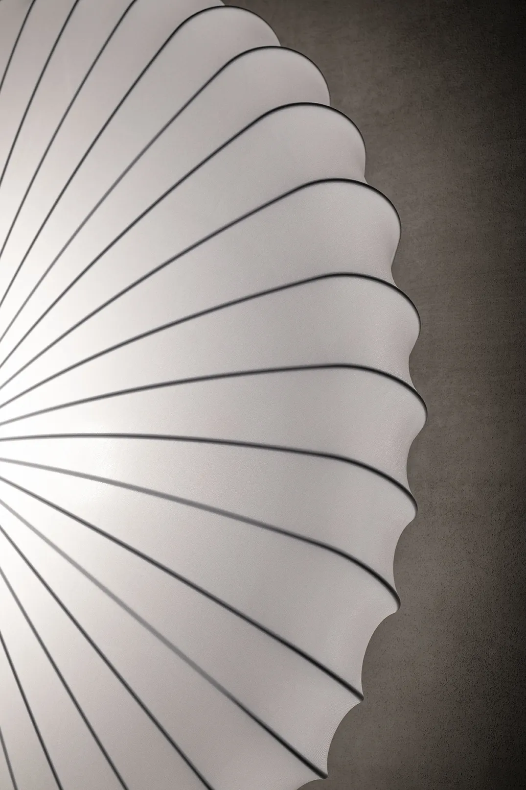 Axolight Muse Væg-Loftlampe