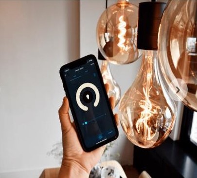 Calex XXL Organic EVO Gold