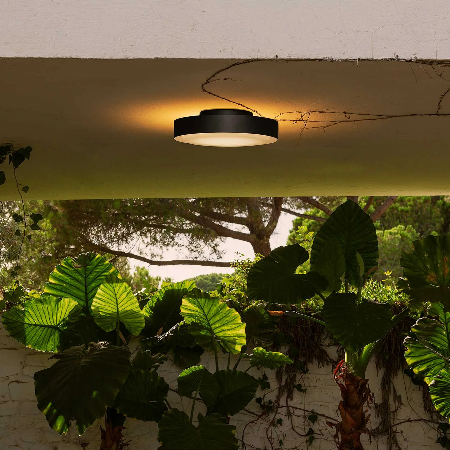 Marset Plaff-On Udendørslampe