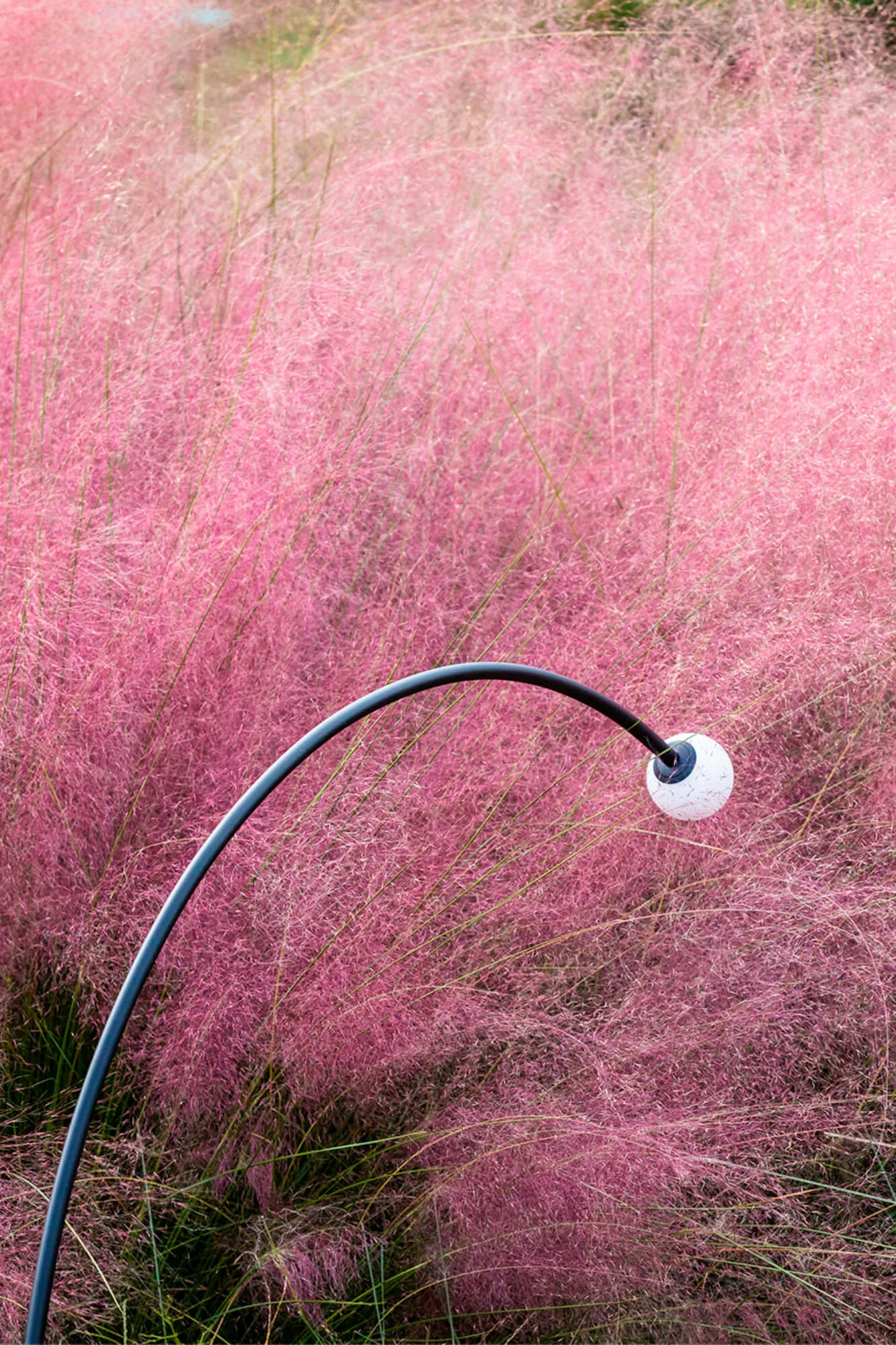 Faro Cuca Spydlampe 