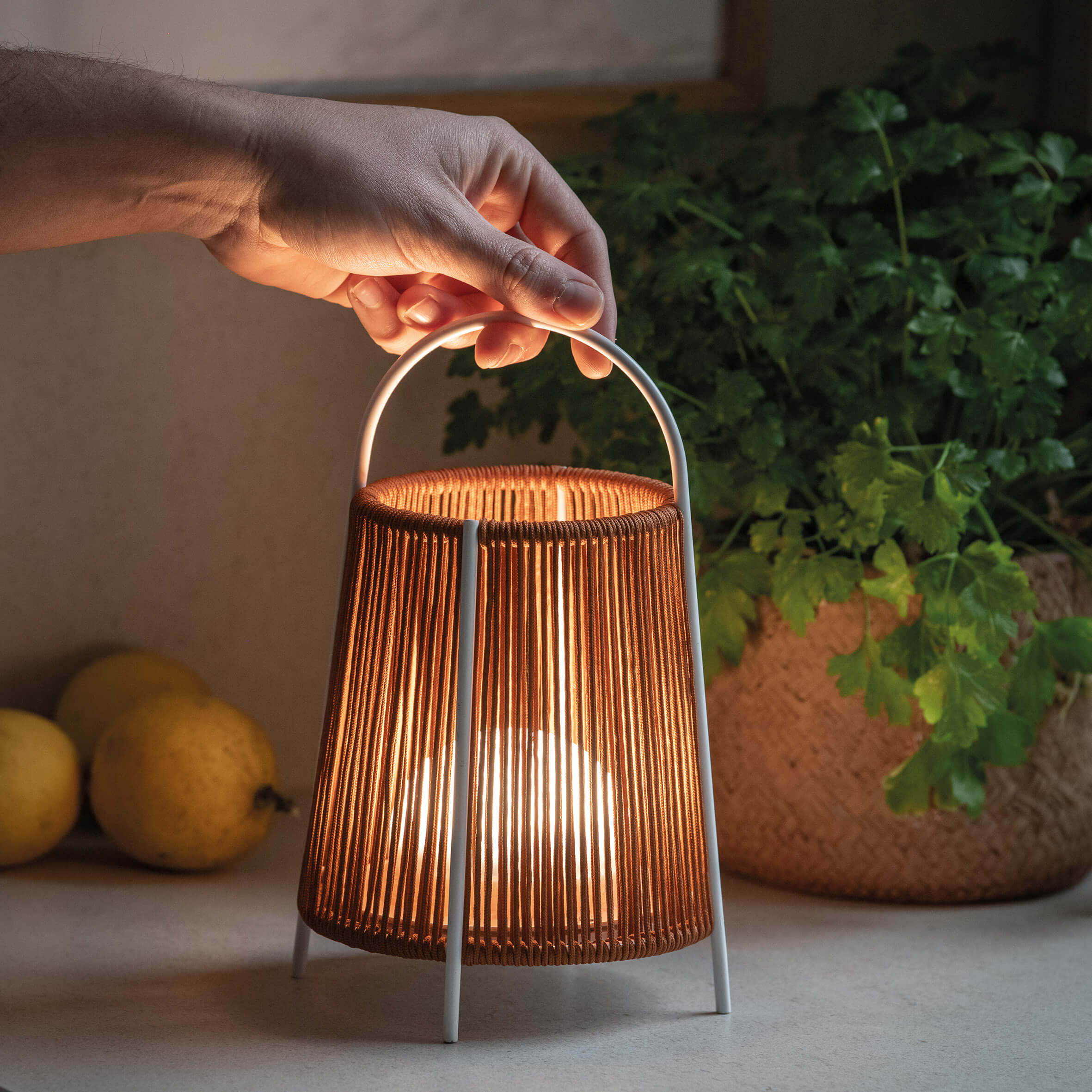 Olé Lighting Allegra Batterilampe