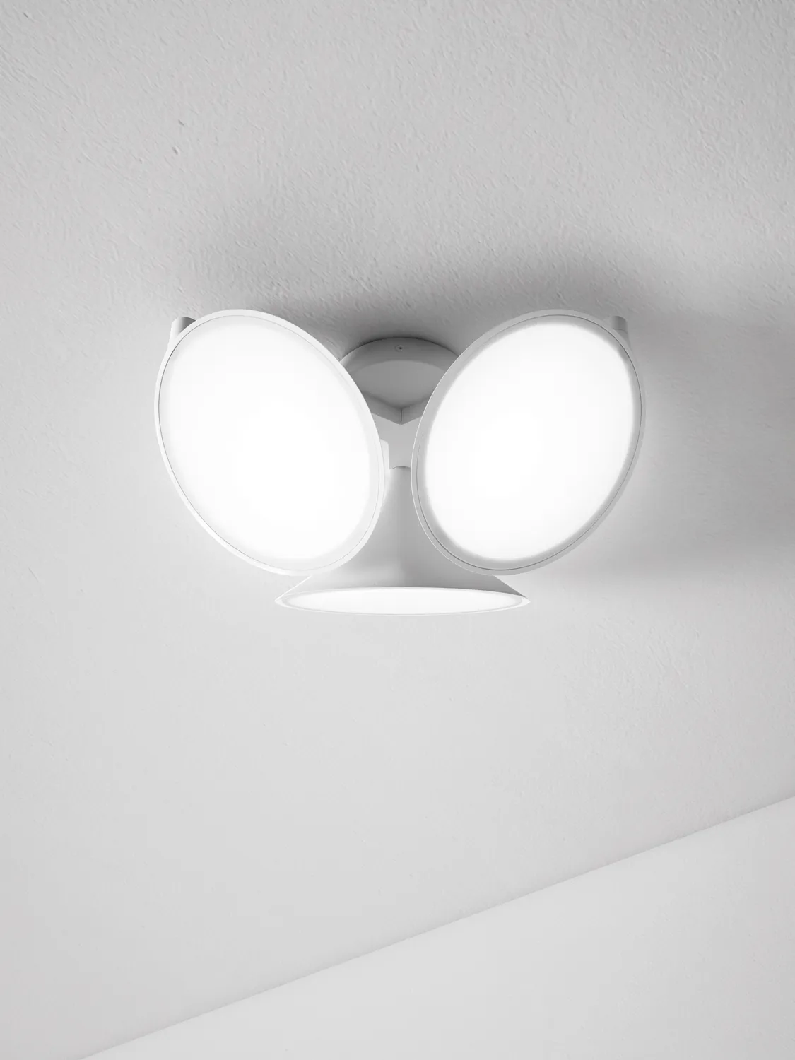 Axolight Orckid Plafond