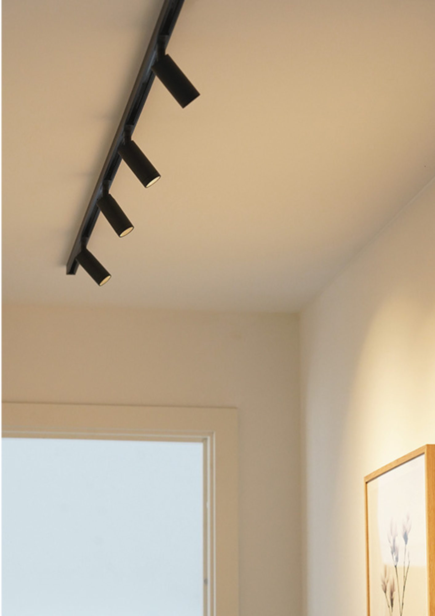 Antidark Domino Spot