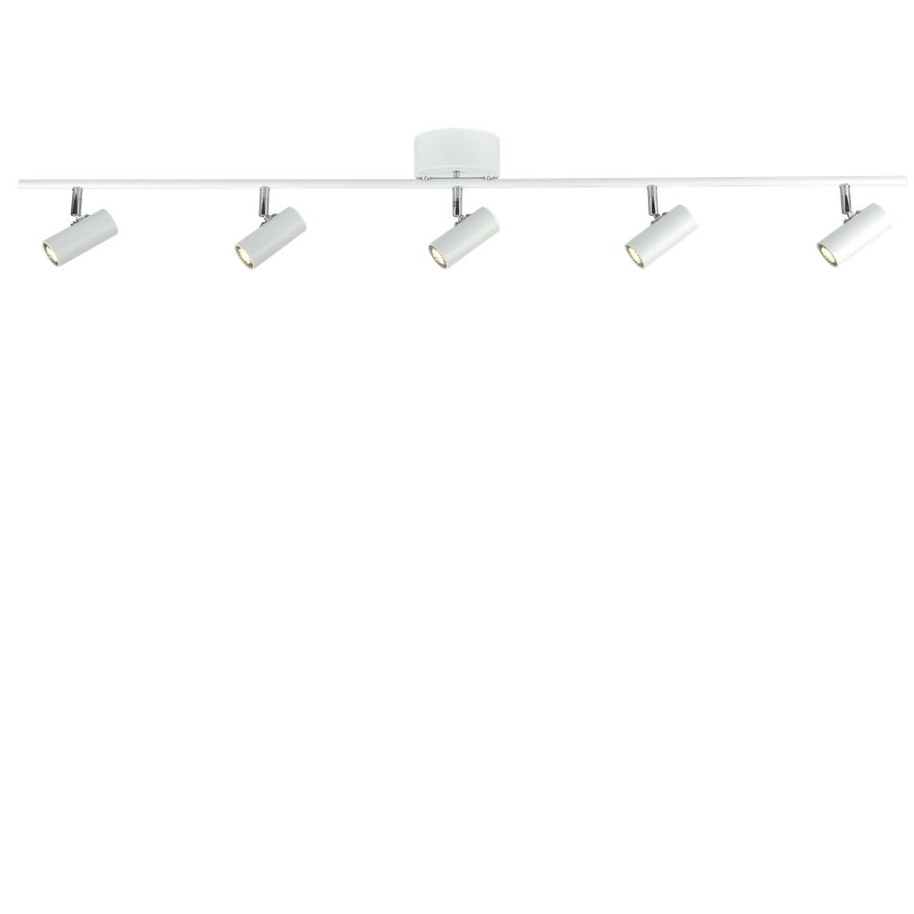 Belid Cato Spotlight Track